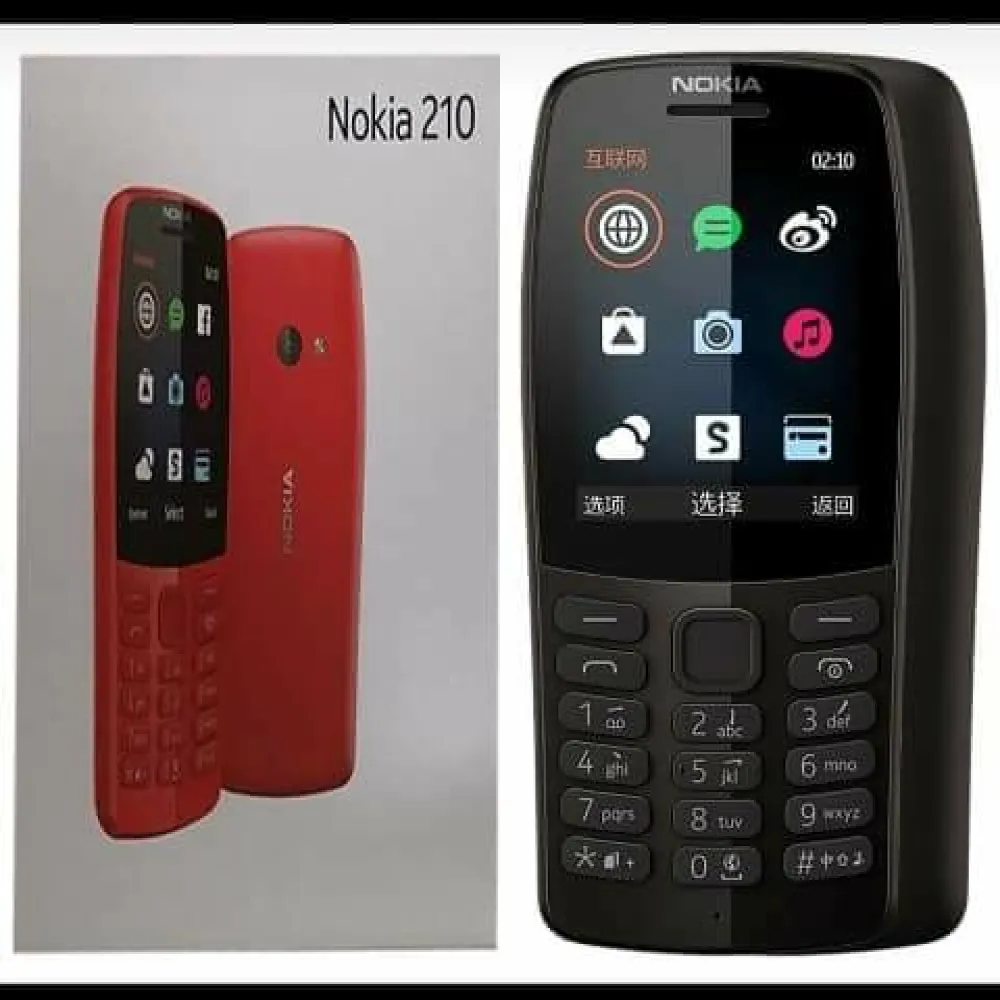 Nokia 210 Dual SIM Button Mobile